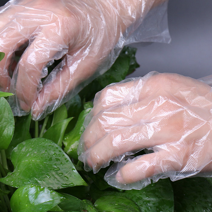 Potravinářské jednorázové víceúčelové PE rukavice pro domácnost